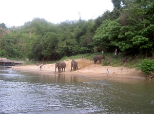 Thailand - Kanchanaburi  The River kwai jungle rafts mei 2009 (30