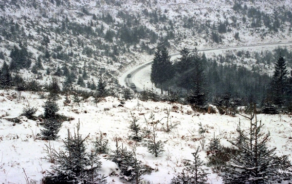 Bergen