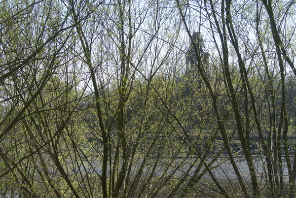 rupel05