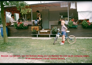 M Zomer '81 - 11