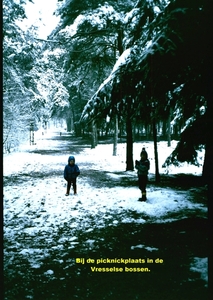 O Winter '81 - '82 - 8