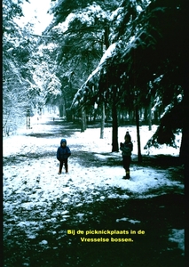 O Winter '81 - '82 - 8