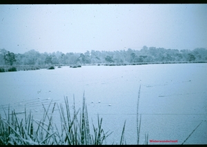 O Winter '81 - '82 - 10
