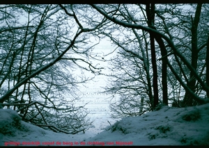 O Winter '81 - '82 - 13