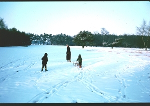 O winter '81 - '82 - 36