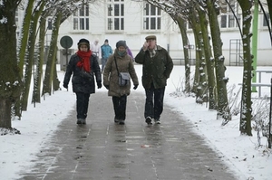 24 Februari Kortrijk Nationale wandel dag