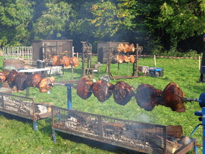 20 okt Godewaersvelde   St.Hubertustocht