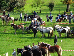 20okt. Godewaersvelde  St.Hubertustocht