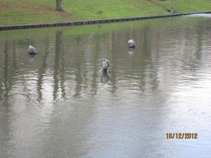 16-12-2012 wandelen Oostende 016