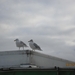 16-12-2012 wandelen Oostende 077