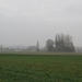 2012-12-19 Leeuwergem 005