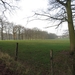 2012-12-19 Leeuwergem 014