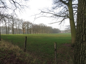 2012-12-19 Leeuwergem 014