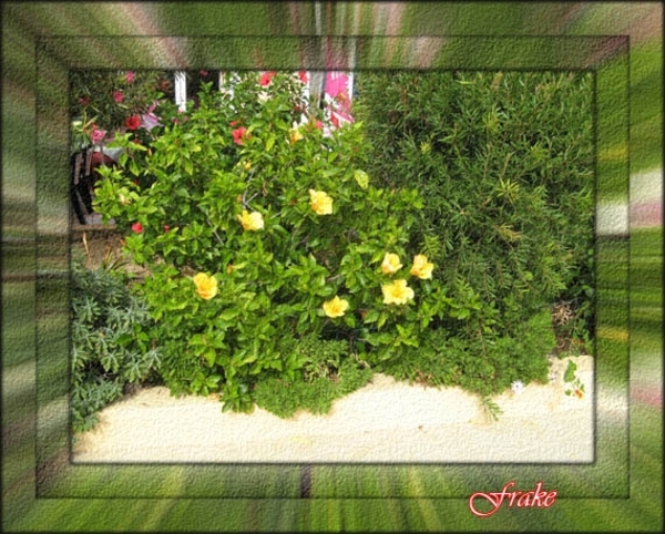 H 048 Dubbel kader van mosaicale