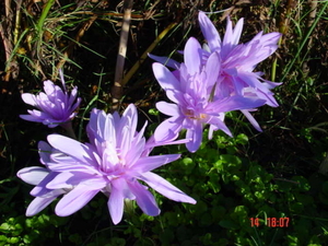 DSC01109