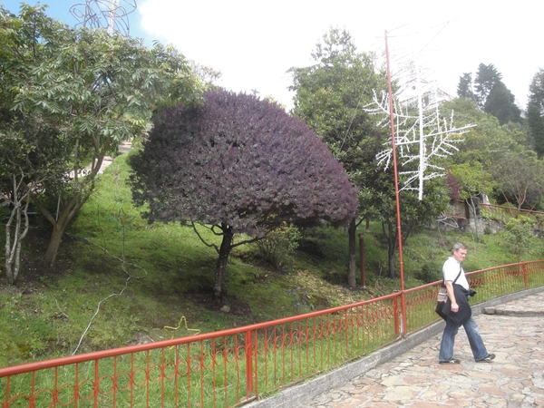Colombia dag 02 (021)
