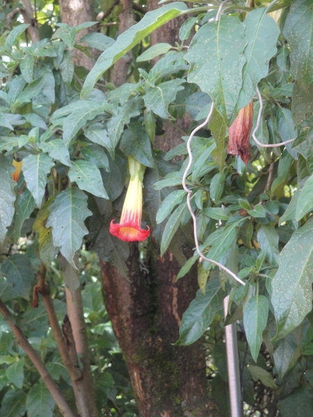 Colombia dag 02 (022)
