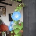 Colombia dag 05 (019)