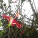Colombia dag 05 (040)