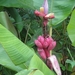 Colombia dag 05 (073)