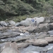 Colombia dag 05 (090)