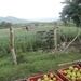 Colombia dag 05 (098)