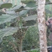 Colombia dag 05 (099)