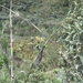 Colombia dag 07 (026)