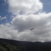 Colombia dag 08 (011)