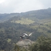 Colombia dag 08 (019)