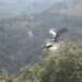 Colombia dag 08 (021)