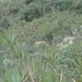 Colombia dag 08 (039)