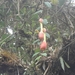 Colombia dag 08 (044)