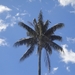 Colombia dag 10 (059)