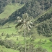 Colombia dag 10 (063)