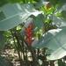 Colombia dag 11 (026)