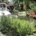 Colombia dag 12 (003)