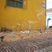 Colombia dag 13 (009)