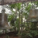Colombia dag 13 (074)