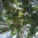 Colombia dag 14 (024)