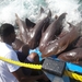 Colombia dag 14 (040)
