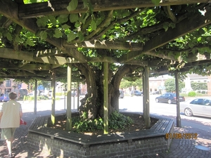 Zandhoven enz 5-8-2012 001