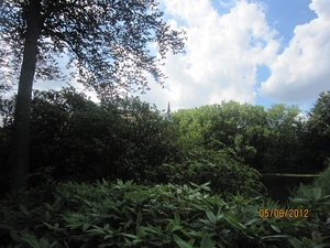 Zandhoven enz 5-8-2012 029