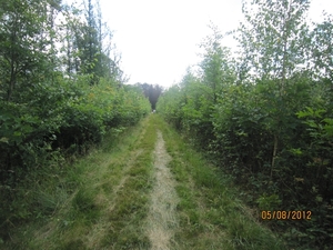 Zandhoven enz 5-8-2012 032