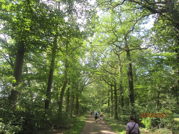 Zandhoven enz 5-8-2012 040