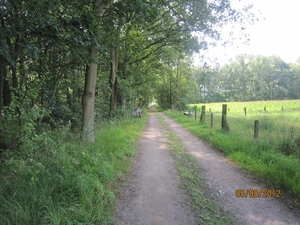 Zandhoven enz 5-8-2012 045