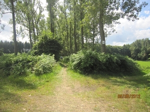 Zandhoven enz 5-8-2012 049