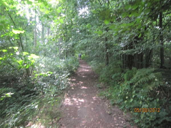Zandhoven enz 5-8-2012 051
