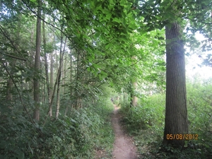 Zandhoven enz 5-8-2012 055
