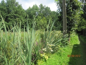 Zandhoven enz 5-8-2012 075